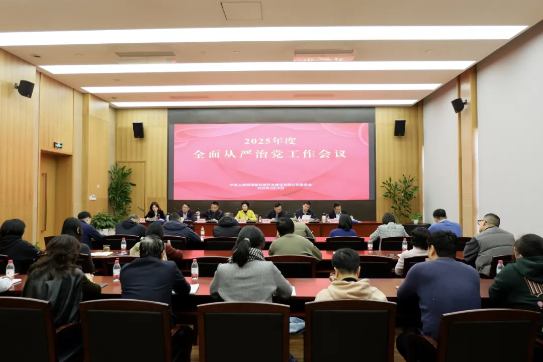 桃浦智创城公司召开2025年度全面从严治党工作会议