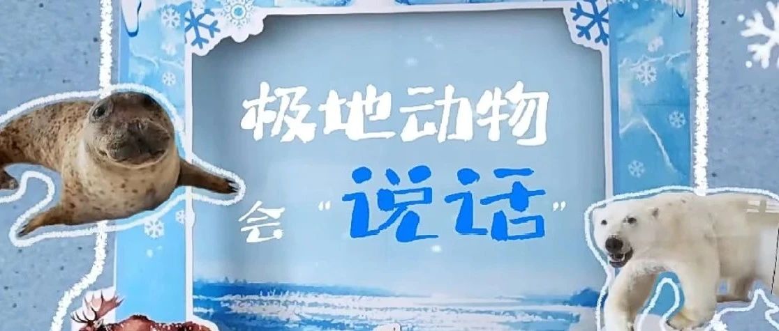 假如极地动物会“说话”！来桃浦智创城与北极“朋友”近距离接触