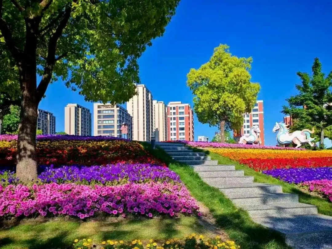 TOP中央公园上新1500㎡“彩虹花毯”，漫步不回头