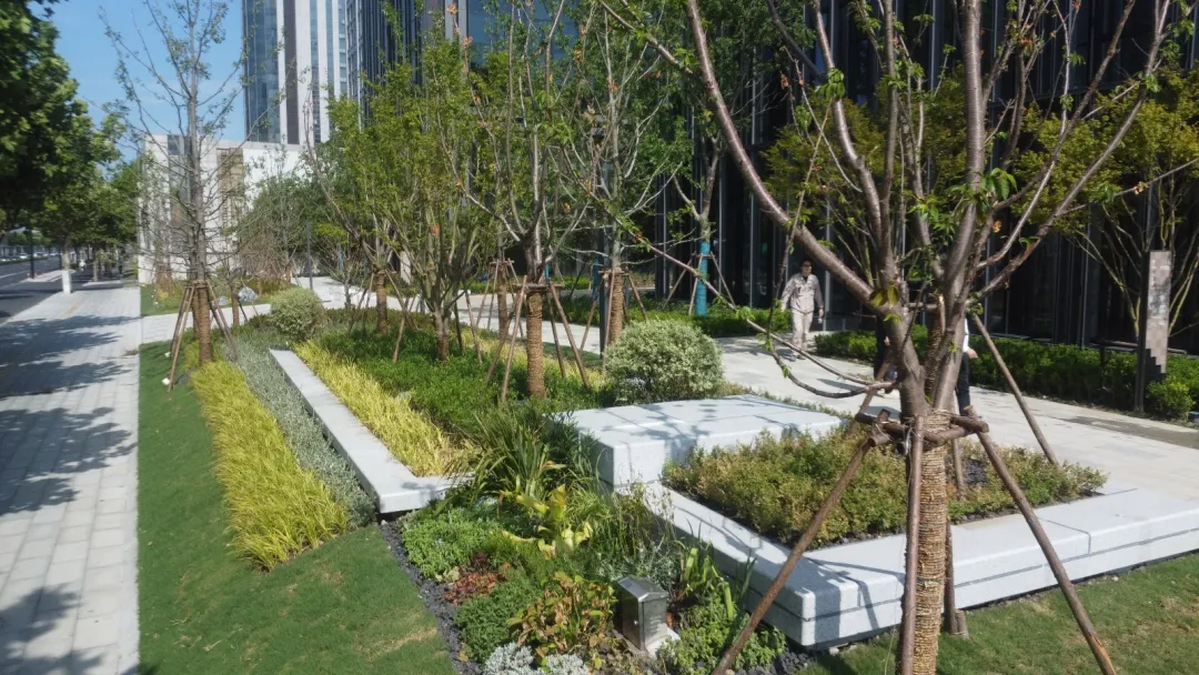 131524511uq1.jpg 5.jpg