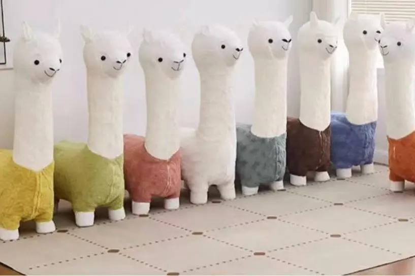 03164611do4l.jpg 5.jpg