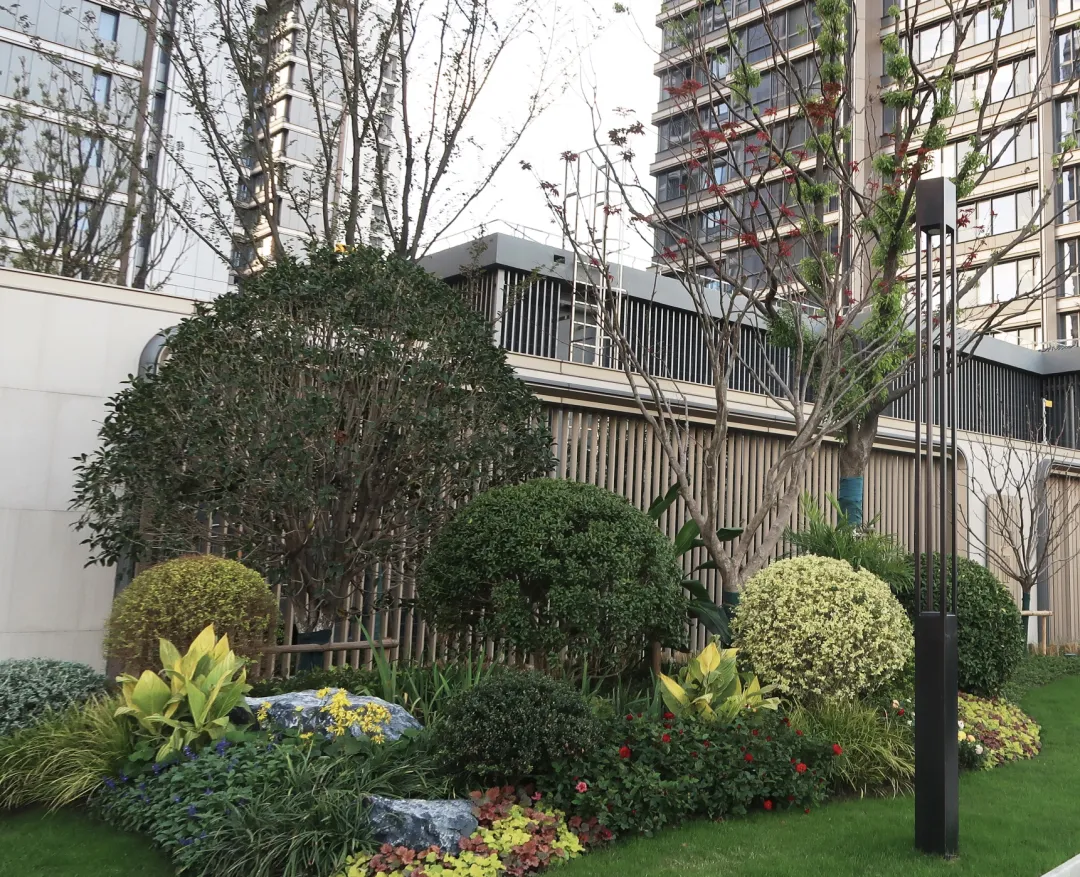 17132432e8ct.jpg 2.jpg