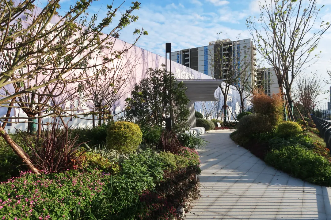 17132449fp6k.jpg 3.jpg