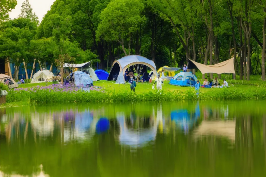 我的TOP时刻丨在桃浦，邂逅绿色与科技共生的城市新境~