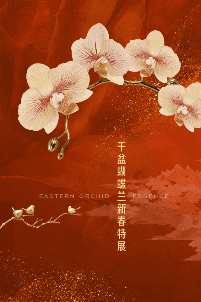 23141336t2xa.gif 1.gif