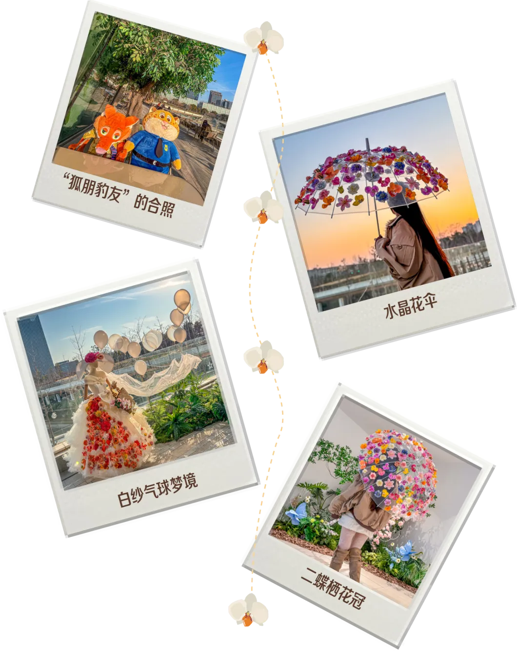 23141523qxc0.jpg 5.jpg