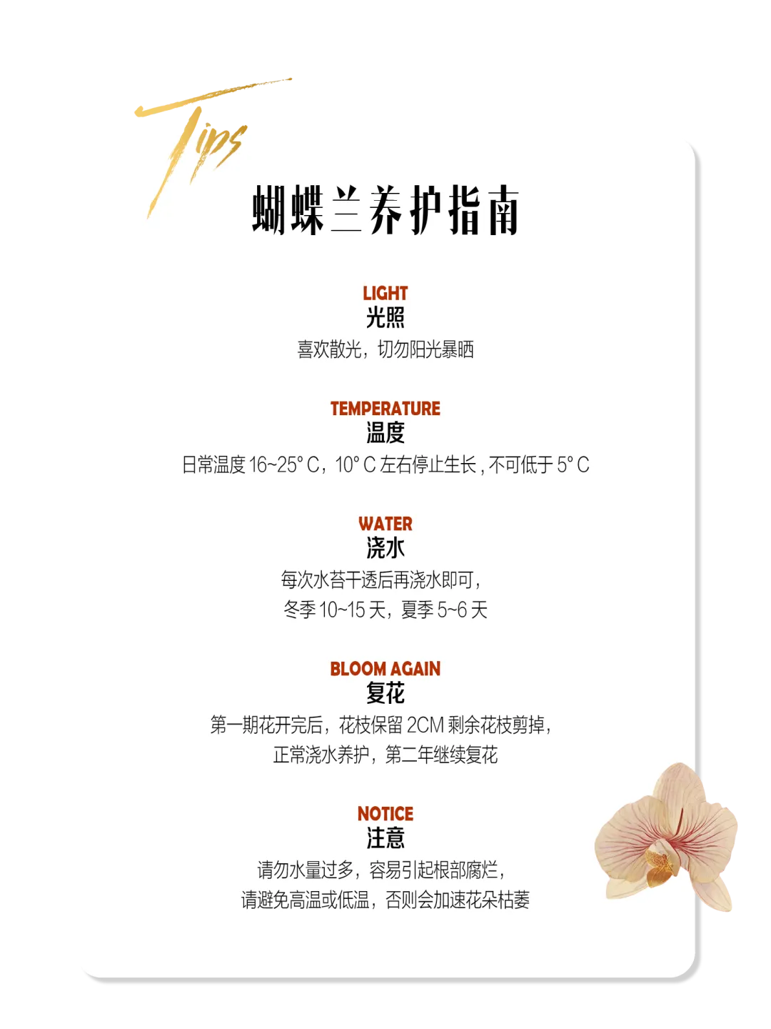 23141606u6u6.jpg 7.jpg