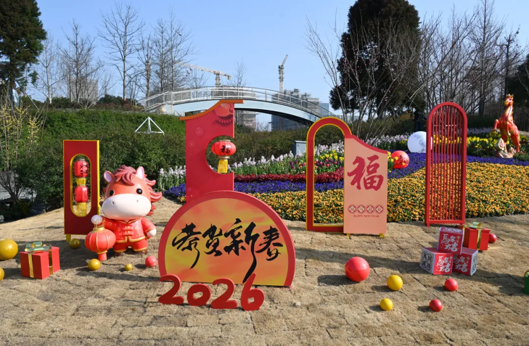 13144547gxx6.jpg 2.jpg