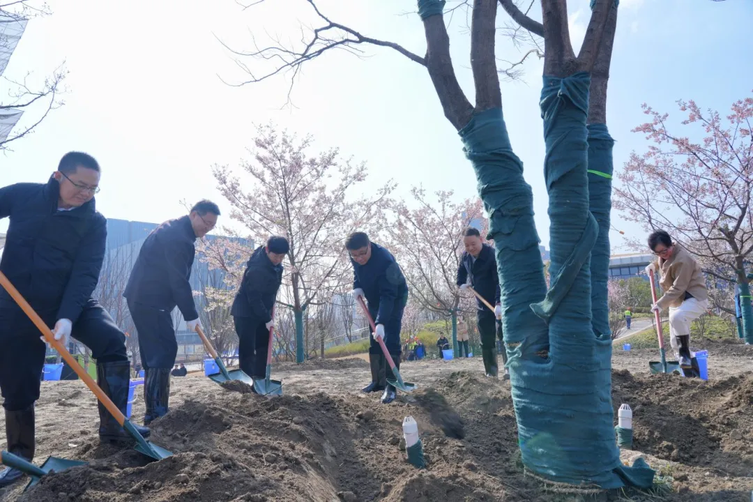 植绿添彩焕新颜！区领导参加2026年全民义务植树活动