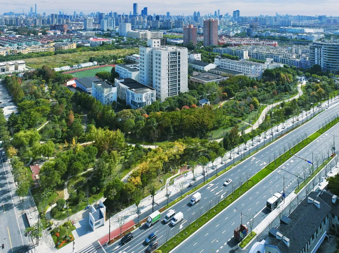 桃浦智创城，真的不一样了！从道路到学校，从公园到住宅，理想家的模样就在这里